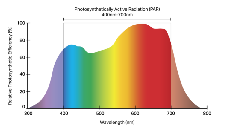 the-influence-of-different-light-wavelengths-on-plant-growth-vertikit